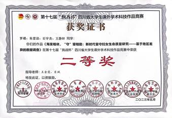 获奖证书 省二等奖